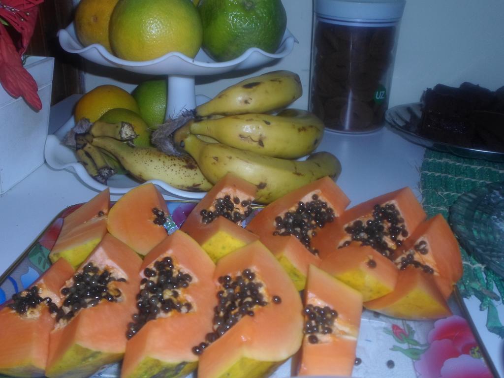 Pousada Laura / Ziza فوز دو إيغواسو المظهر الخارجي الصورة